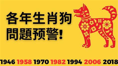 屬狗2023運勢|属狗人2023年全年运势详解 属狗2023年运势及运程每月运程